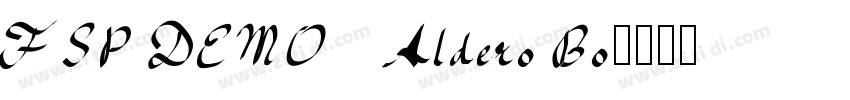 FSP DEMO   Aldero Bo字体转换